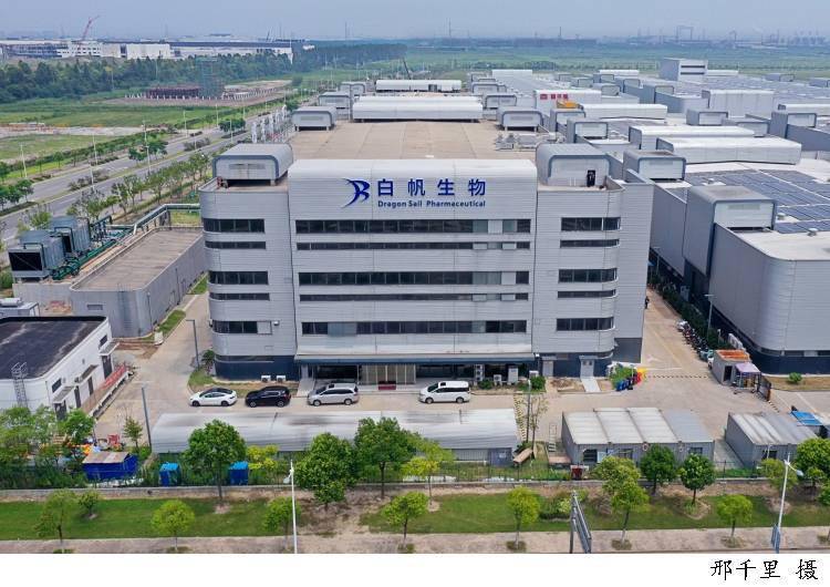 未来创新药看临港！15个生物医药项目签约，总投资超150亿元